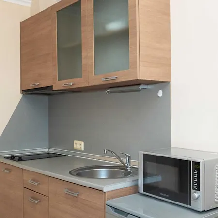 Studioreginacarevo Apartment *